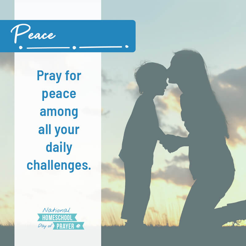 2020 National Homeschool Day of Prayer - Prompt 8 - Individual Gifts