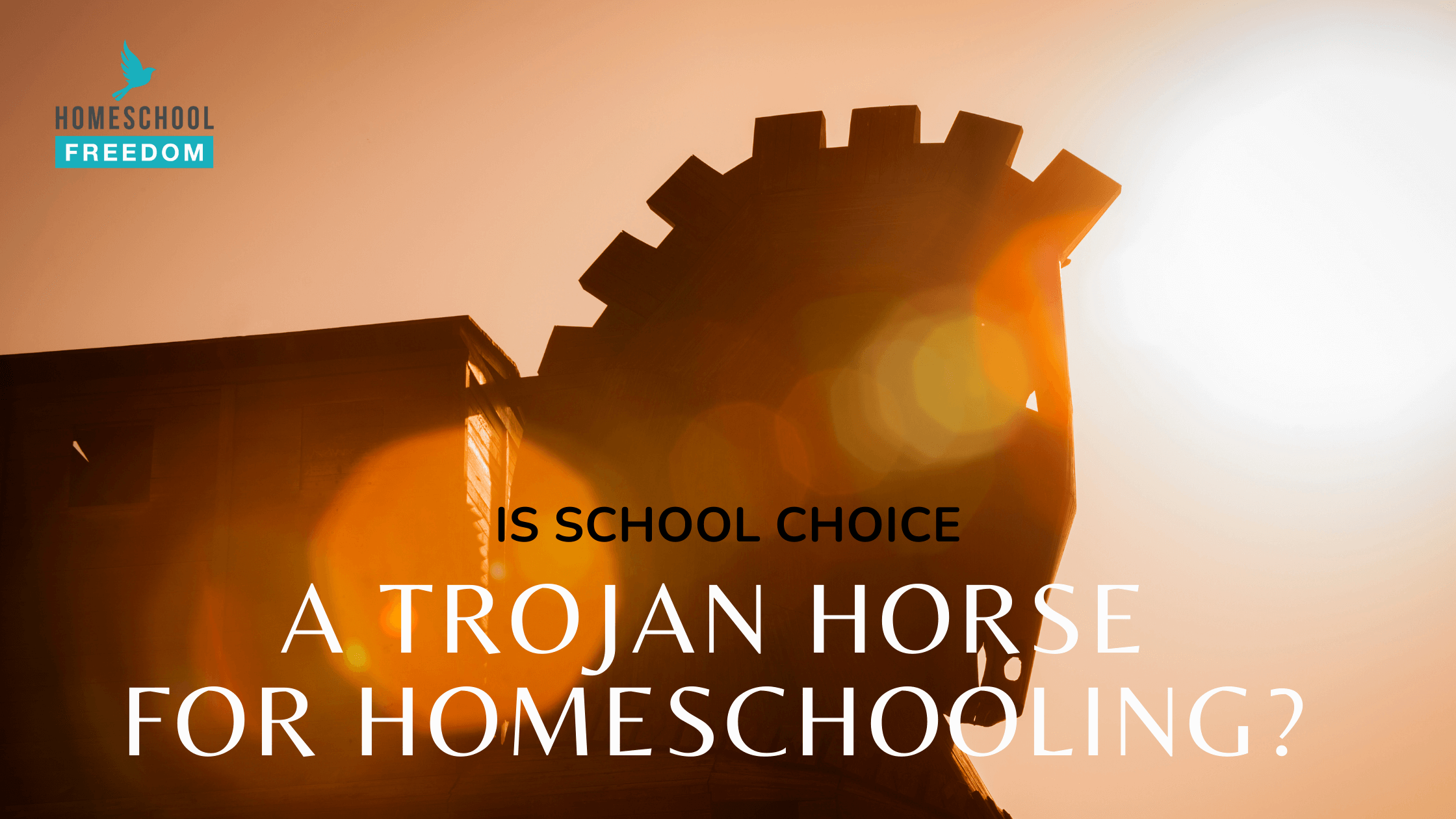 Is School Choice a Trojan Horse for Homeschooling?